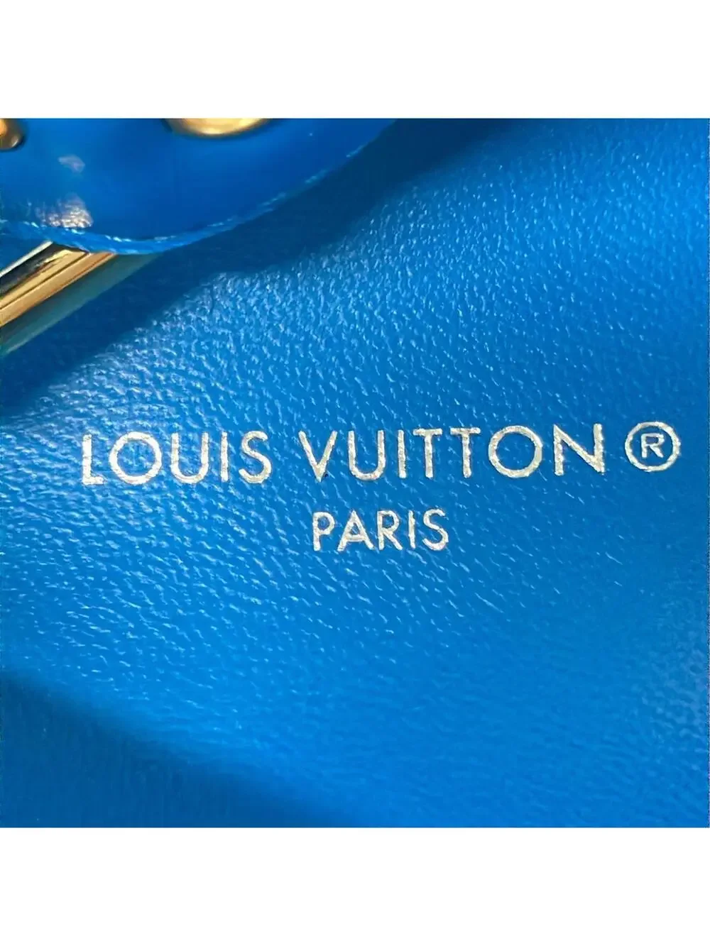 Louis Vuitton elevate your